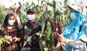 20210129155537_IMG_9606