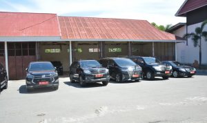 IMG-20210617-WA0021
