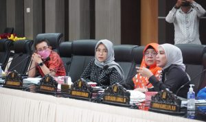 Pansus Perlindungan Anak