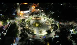 palu