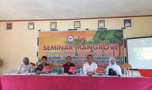mangrove