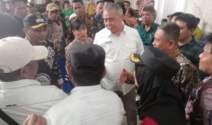 Desa