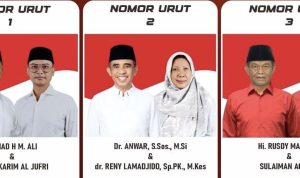 Calon gubernur