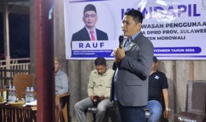 Rauf