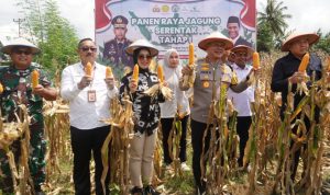 Panen Raya