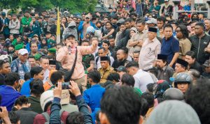 Demo