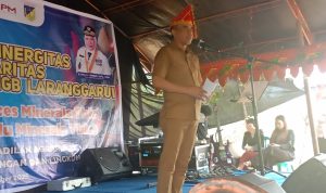 Gubernur