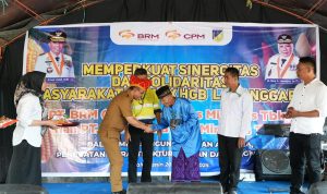 Bantuan Bibit